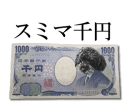 The toy poodle photo sticker 1 sticker #15643108