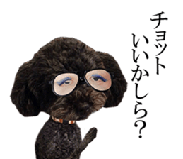 The toy poodle photo sticker 1 sticker #15643116