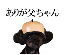 The toy poodle photo sticker 1 sticker #15643118