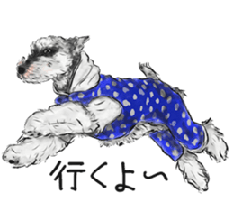 Miniature Schnauzer - by Harry sticker #15643163