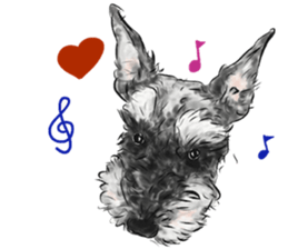 Miniature Schnauzer - by Harry sticker #15643164
