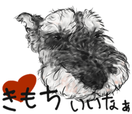 Miniature Schnauzer - by Harry sticker #15643166