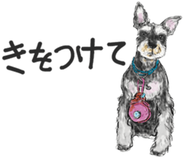 Miniature Schaunuzer - by Berry sticker #15643427