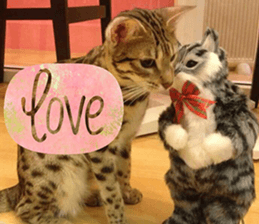 Cat Lovers 1 sticker #15643573