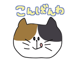 40 types of cats sticker #15643726