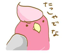 Cute Galah"Momoji" sticker #15643819