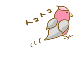 Cute Galah"Momoji" sticker #15643824