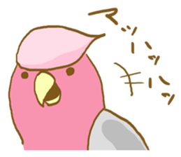 Cute Galah"Momoji" sticker #15643830