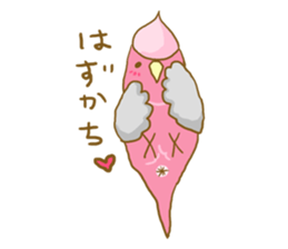 Cute Galah"Momoji" sticker #15643833