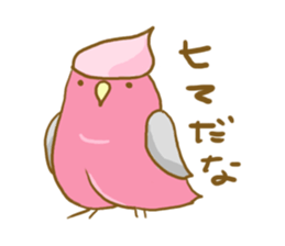 Cute Galah"Momoji" sticker #15643838