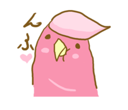 Cute Galah"Momoji" sticker #15643849