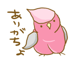 Cute Galah"Momoji" sticker #15643852