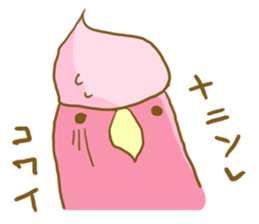 Cute Galah"Momoji" sticker #15643856