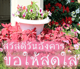 sawatdee sticker #15647009
