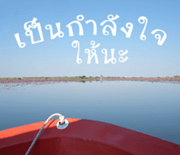 sawatdee sticker #15647015