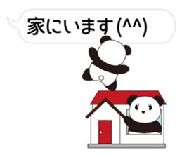 Panda named Ueno.8 sticker #15647507