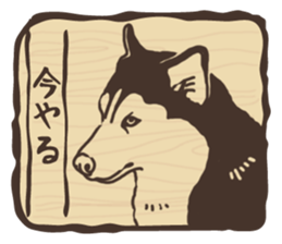 A sticker like Siberian Husky stamp 4 sticker #15648474