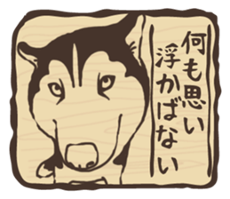 A sticker like Siberian Husky stamp 4 sticker #15648480