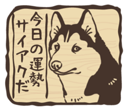 A sticker like Siberian Husky stamp 4 sticker #15648485