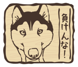 A sticker like Siberian Husky stamp 4 sticker #15648489