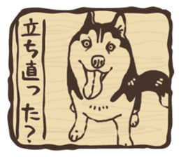 A sticker like Siberian Husky stamp 4 sticker #15648499