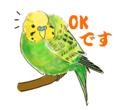 Everyday javasparrow and Parakeet 4 sticker #15648826