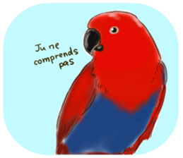 Everyday javasparrow and Parakeet 4 sticker #15648831