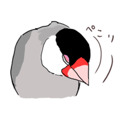 Everyday javasparrow and Parakeet 4 sticker #15648837