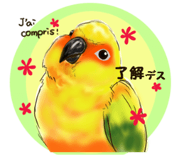 Everyday javasparrow and Parakeet 4 sticker #15648844