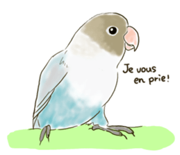 Everyday javasparrow and Parakeet 4 sticker #15648846