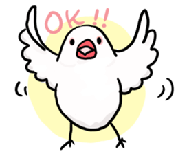 Everyday javasparrow and Parakeet 4 sticker #15648856