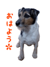 Photo of Leo-kun sticker #15649066