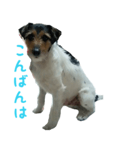 Photo of Leo-kun sticker #15649068