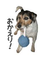 Photo of Leo-kun sticker #15649069