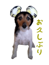 Photo of Leo-kun sticker #15649070