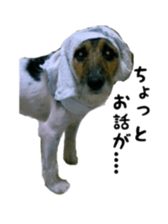 Photo of Leo-kun sticker #15649071