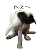 Photo of Leo-kun sticker #15649072