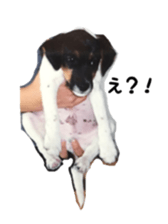 Photo of Leo-kun sticker #15649073