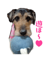 Photo of Leo-kun sticker #15649074