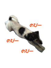 Photo of Leo-kun sticker #15649075