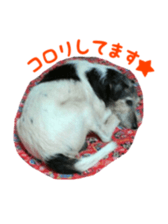 Photo of Leo-kun sticker #15649076