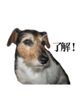 Photo of Leo-kun sticker #15649077