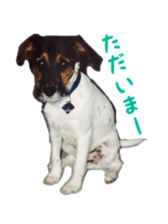 Photo of Leo-kun sticker #15649078