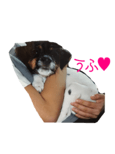 Photo of Leo-kun sticker #15649081