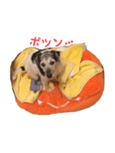 Photo of Leo-kun sticker #15649082