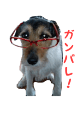 Photo of Leo-kun sticker #15649083