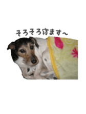 Photo of Leo-kun sticker #15649084