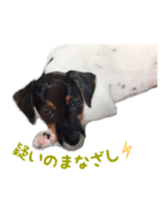 Photo of Leo-kun sticker #15649085