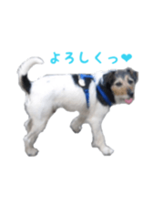 Photo of Leo-kun sticker #15649090