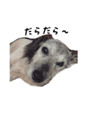 Photo of Leo-kun sticker #15649091